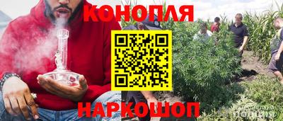 гидропоника Лесосибирск