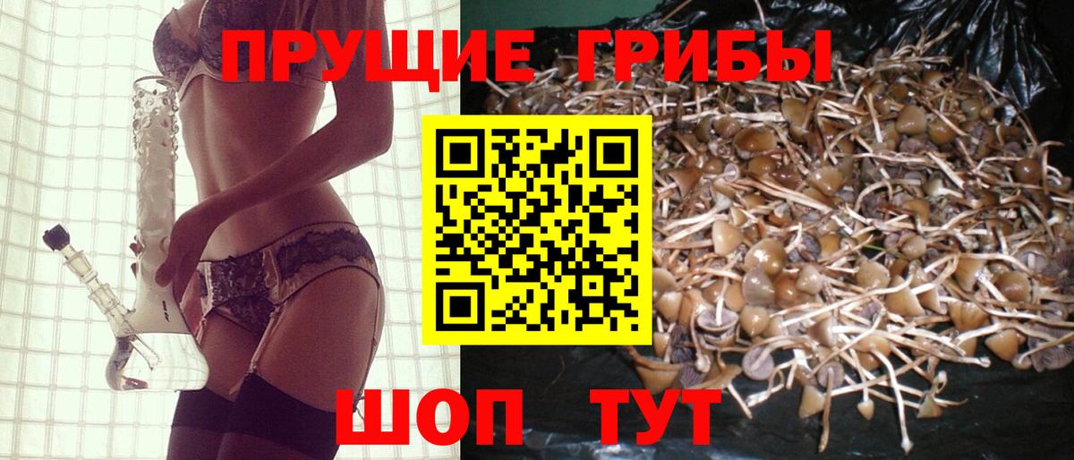 Меф МЯУ МЯУ   Ртищево  Вход с VPN  ГАШ  Гашиш  Конопля 